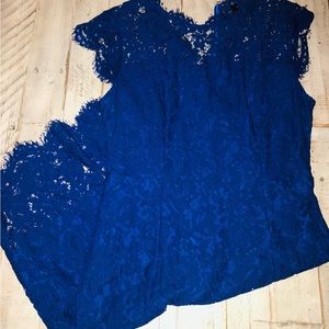 Woman’s sleeveless lace elegant cocktail dress.